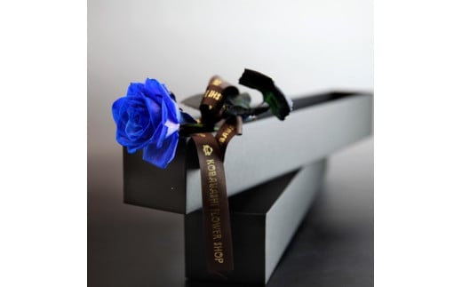 048-004 青いバラ1本縦長BOXギフト