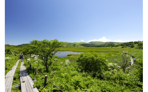 031-002 八島湿原ランチパック（2名様）