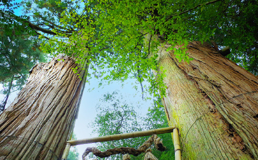 (1)　自然環境及び地域景観の保全並びに活用に関する事業