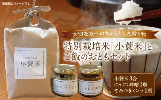 特別栽培米「小蓑米」と ご飯のおとも(にんにく味噌とやみつきメンマセット) | お米 ご飯 ごはん 白米 にんにく 味噌 メンマ お供 朝ごはん 香川県 三木町 プレゼント 贈り物 国産 ブランド米 |_mk156-001