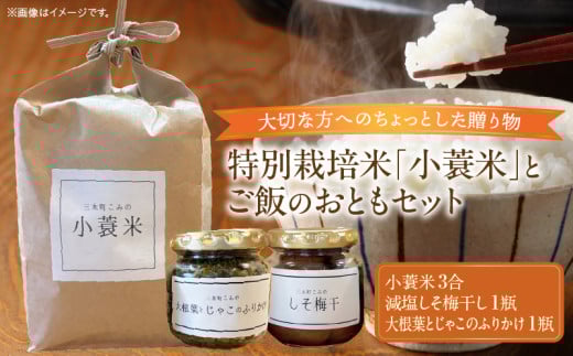 特別栽培米「小蓑米」と ご飯のおとも（減塩しそ梅干しと大根葉とじゃこのふりかけセット） | お米 ご飯 ごはん  しそ梅干し 梅 大根葉 ちりめん じゃこ ふりかけ お供 香川県 三木町 プレゼント 贈り物 国産 ブランド米 朝ごはん |_mk156-003