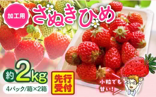 [2026年発送分 先行受付]苺音クラフト〜加工用さぬきひめいちご約2kg | おすすめ 人気 果実 果肉 果物 フルーツ デザート 贈り物 苺 さぬきひめ 贈答 ご褒美 旬の果物 季節の果物 旬 季節 青果物 香川県 三木町 |_mk137-007