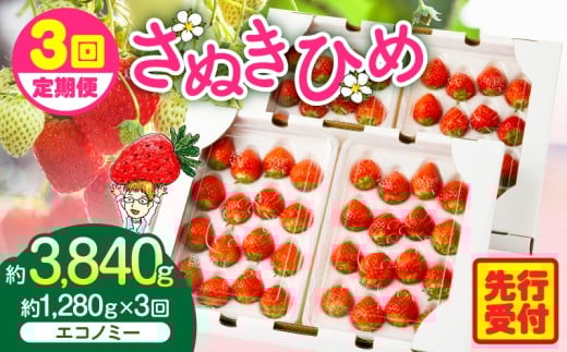 [2026年発送分 先行受付]苺音エコノミー 〜さぬきひめいちご約1,280g〜3回定期便 | おすすめ 人気 果実 果肉 果物 フルーツ デザート 贈り物 苺 さぬきひめ 贈答 ご褒美 ギフト 旬の果物 季節の果物 旬 季節 青果物 香川県 三木町 |_mk137-t001
