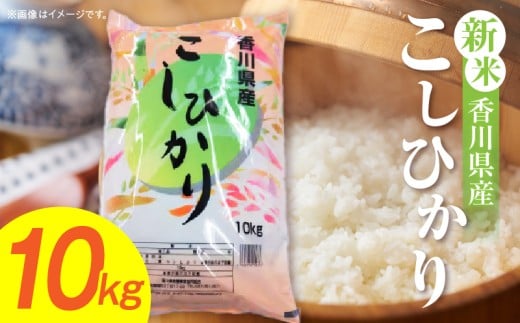 【令和7年産】香川県産こしひかり 10kg(紙袋配送)|新米 コシヒカリ こしひかり 10kg 米 白米 ごはん ご飯 朝食 白ご飯 おにぎり お弁当 おむすび お米 国産 美味しい ツヤ モチモチ 精米 おすすめ 香川県 三木町 |_mk132-110-02