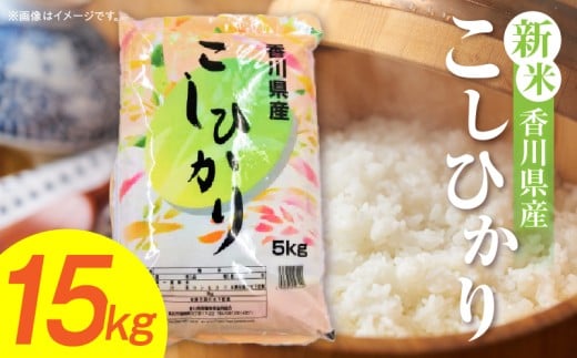 【令和7年産】香川県産こしひかり 15kg(紙袋配送)|新米 コシヒカリ こしひかり 15kg 米 白米 ごはん ご飯 朝食 白ご飯 おにぎり お弁当 おむすび お米 国産 美味しい ツヤ モチモチ 精米 おすすめ 香川県 三木町 |_mk132-110-03