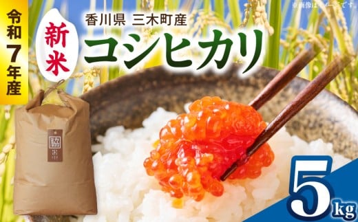 【令和7年産】香川県三木町産コシヒカリ5kg　≪IDOMALLセレクト≫ |新米 令和7年度産 先行予約 先行受付 数量限定 コシヒカリ 米 コメ こめ お米 5kg 国産 白米 精米 香川県 三木町 ご飯 白飯 おにぎり おいしい おすすめ 人気|_mk048-013-01
