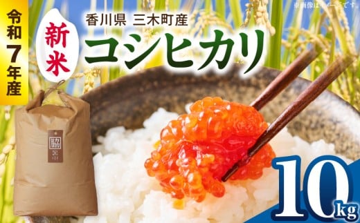 【令和7年産】香川県三木町産コシヒカリ10kg　≪IDOMALLセレクト≫ |新米 令和7年度産 先行予約 先行受付 数量限定 コシヒカリ 米 コメ こめ お米 10kg 国産 白米 精米 香川県 三木町 ご飯 白飯 おにぎり おいしい おすすめ 人気|_mk048-013-02