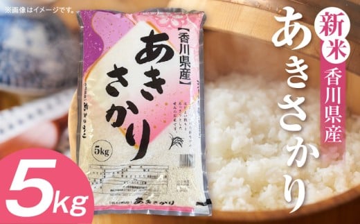 【令和7年産】香川県産あきさかり 5kg（紙袋配送）|新米 あきさかり 5kg 米 白米 ごはん ご飯 朝食 白ご飯 おにぎり お弁当 おむすび お米 国産 美味しい ツヤ モチモチ 精米 おすすめ 香川県 三木町 |_mk132-111-01