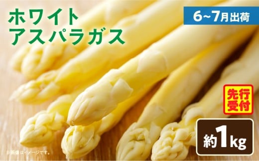 ホワイトアスパラガス約1kg(6~7月出荷)|アスパラ アスパラガス ホワイトアスパラガス 新鮮 素材の味 夏野菜 直送 香川県 三木町|_mk002-003