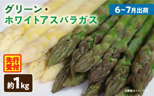 グリーン・ホワイトアスパラガス約1kg(6~7月出荷) | ホワイトアスパラ アスパラガス グリーンアスパラ アスパラ 野菜 生野菜 夏野菜 直送 新鮮 おすすめ 柔らかい  香川県 三木町 |_mk002-004