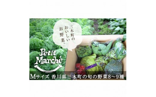 プチマルシェお野菜ボックス(M) 季節の野菜8~9種類 ≪ IDOMALL セレクト≫|野菜 新鮮 冷蔵 旬 香川県 野菜ボックス 季節の野菜 青果物 季節 マルシェ 冷蔵 おすすめ|_mk048-004