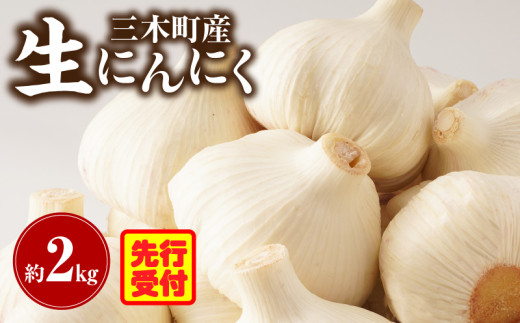 三木町産 生にんにく 約2kg |にんにく ガーリック 肉厚 野菜 食材 国産 国産にんにく 薬味 調味 スタミナ 料理 贈答 贈り物 ギフト おすそ分け ストック 生鮮食品 食品 グルメ お取り寄せ おすすめ 特産 特産品 人気 自宅用 家庭用 香川県 三木町 |_mk006-039