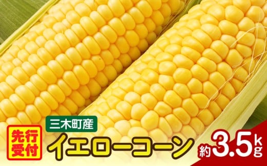 三木町産　イエローコーン　約3.5kg | とうもろこし 野菜 コーン イエローコーン 旬の野菜 旬 季節の野菜 季節 贈答 贈り物 ギフト プレゼント おすそ分け グルメ お取り寄せ 人気 おすすめ 特産 特産品 生鮮食品 香川県 三木町 |_mk006-040