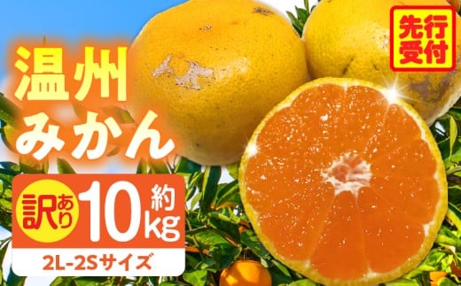 訳あり温州みかん約10kg（2L-2S) | みかん 温州みかん 果物 果実 訳あり 訳ありみかん 訳あり果物 訳ありフルーツ フルーツ 香川県 三木町 |_mk006-032