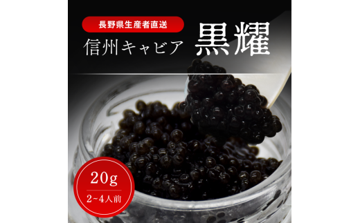 黒耀 信州キャビア 20g 黒耀 信州キャビア20g 入瓶 キャビアスプーン付 化粧箱入り 長野県製造 冷凍生キャビア キャビア 生キャビア 生 スプーン付き 信州 長野県