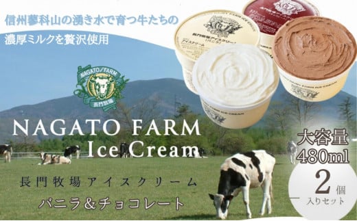 長門牧場アイスクリーム 480ml 2個セット バニラ チョコレート