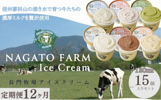 【定期便】12ヵ月連続でお届け!長門牧場アイスクリーム 15個セット バニラ チョコレート アイス ギフト スイーツ デザート 人気 おすすめ 高評価 お土産 ご当地