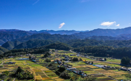 自然環境の保全・脱炭素化の推進