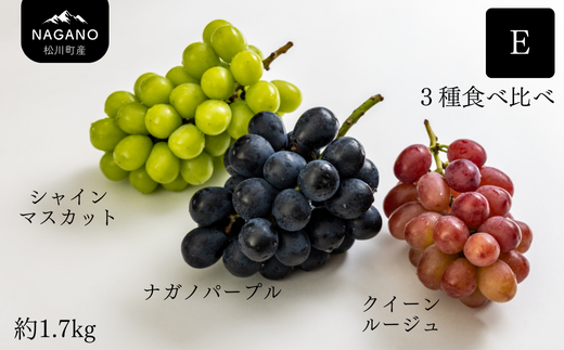 25A ぶどう食べ比べセット 3種 E(シャインマスカット/ナガノパープル/クイーンルージュ🄬)約1.7kg / 9月上旬頃から発送予定 | 長長野県 南信州 松川町 種なし 皮ごと 葡萄 ぶどう ブドウ 農家直送 食べ比べ 詰め合わせ 贈答 新鮮 シャイン マスカット ナガノパープル クイーンルージュ🄬 果物 フルーツ