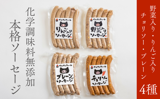 SF03-25C 無添加!さんさん豚ソーセージセットB /(140g×4種類入)【化学調味料不使用】// 長野県産豚肉 南信州 ポーク バークシャー種 安全 安心 冷凍 贈答 ギフト