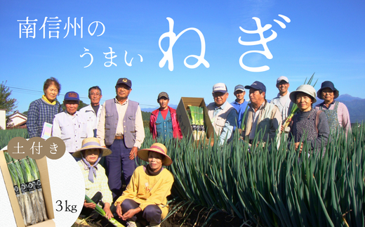 JA24-25B 土付きねぎ 約3kg / 2025年12月中旬〜2026年2月上旬頃配送予定 // 長野県 南信州産 野菜 信州野菜 新鮮 長ネギ ネギ 長ねぎ 白ねぎ 白ネギ