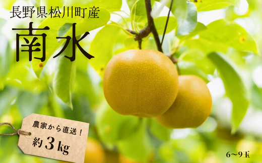 KW07-25A 【出荷中！】梨 南水 約3kg（6～11玉） 松川町産 贈答 2025／9月下旬頃から順次発送予定 // 南信州産 長野県 和梨 なし ナシ 約3㎏ 南水 農家直送 農家支援 2025