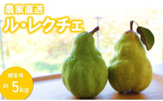 KL04-25A 洋梨 ル・レクチェ 大玉 約5kg（10～14玉） 贈答 / 2025年11月下旬頃〜配送予定 // 長野県 南信州 松川町産 洋梨 ルレクチェ レクチェ 西洋梨 大玉 とろける 高糖度 贈答