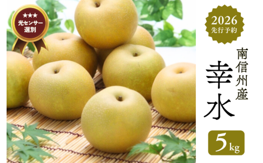JA05-26A【先行予約】梨 幸水 約5kg/2026年8月中旬~9月上旬頃 配送予定 // 贈答 センサー選別 糖度センサー 梨 なし ナシ 果物 フルーツ ギフト 幸水 太鼓判 優糖生