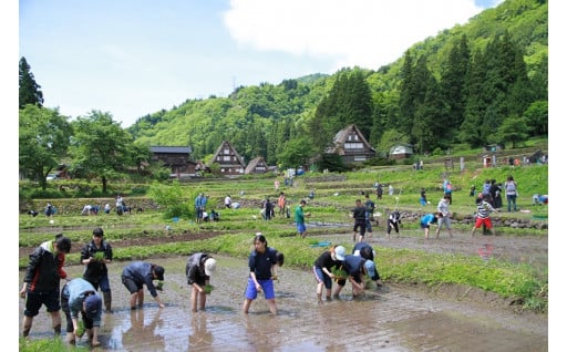 教育・文化の振興、世界遺産の保全に関すること