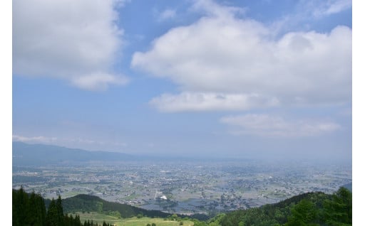 エコビレッジの推進及び環境保全に関すること