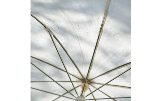 【南砺市】松井機業「城端しけ絹」しけ絹の日傘（生成り）◆受注生産 ご注文後2〜3ヶ月