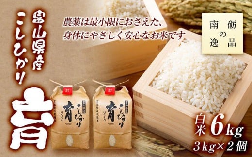 【令和7年産】富山県産こしひかり 育(はぐくみ)白米2個セット 3kg×2個 《南砺の逸品》