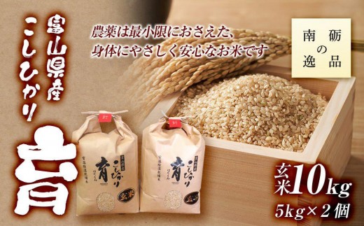 【令和7年産】富山県産こしひかり 育(はぐくみ)玄米 5キロ×2個セット《南砺の逸品》
