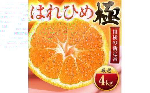 <太陽をたっぷり浴びた>はれひめ<極>4kg<C49-81>【1621793】