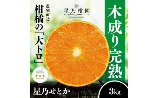 <三つ星ブランド>星乃せとか(3kg)<D45-93>_ みかん ミカン 柑橘 せとか フルーツ くだもの 果物 ふるーつ 青果 果実 人気 甘い ジューシー 産直 産地直送 旬 柑橘類 人気 愛媛 果汁 八幡浜市【1625776】