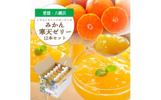 ゲル化剤・pH調整剤不使用!愛媛産 みかん寒天ゼリー 12本セット＜D25-220＞【1628720】