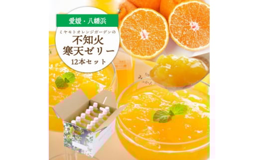 ゲル化剤・pH調整剤不使用!愛媛産 不知火寒天ゼリー 12本セット＜D25-224＞【1628746】
