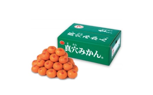 真穴みかん<2Lサイズ>約5kg<E43-11>_ みかん 蜜柑 ミカン 愛媛みかん 愛媛 真穴 まあな 国産 箱 送料無料 農家直送 産地直送 柑橘 かんきつ 温州みかん 旬 フルーツ 果物 くだもの【1654525】