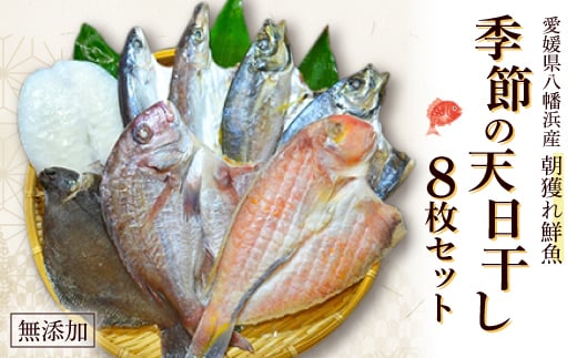 無添加・天日干し ピチピチ朝獲れ鮮魚の一夜干し8枚セット<D26-1>_ 干物 ひもの 一夜干し 天日干し 国産 干物セット タイ アジ カマス トビウオ イカ カレイ アマダイ 愛媛 無添加 冷凍 手作り 【1044326】