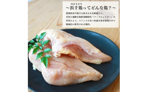 浜千鶏焼き鳥セット<C29-2>【1487888】