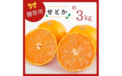 コウ果樹園の「柑橘の大トロ せとか3kg」<C33-1>_みかん ミカン せとか 柑橘 フルーツ 果物 くだもの 完熟 産直 産地直送 甘い ジューシー 高糖度 愛媛 希少 おすすめ 人気 おすすめ 送料無料【1269378】