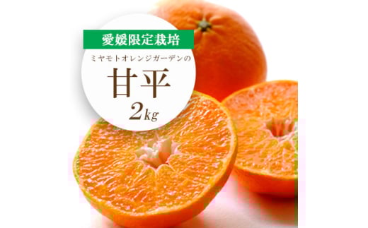 <2026年2月より順次発送>愛媛限定栽培柑橘 シャキッと新食感!甘平 2kg<E25-36>_ みかん ミカン 柑橘 フルーツ ふるーつ 果物 くだもの 青果 甘平 かんぺい 甘い 濃厚 高糖度 愛媛 希少 産直 産地直送 【1044411】