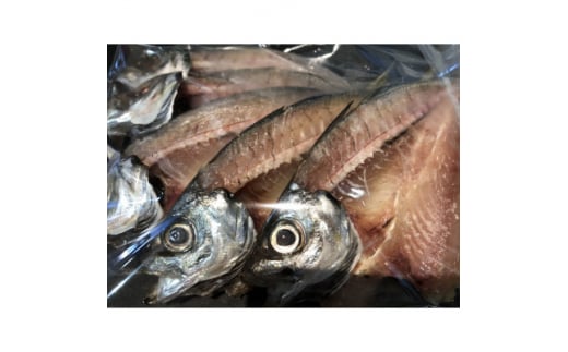 八幡浜発!竹中水産の「匠の一夜干し:天然アジ」<F22-158>【1491736】