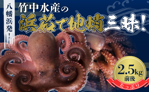 八幡浜発!竹中水産のたっぷり「浜茹で地蛸」三昧!たっぷり2.5kg前後＜H22-190＞【1043153】