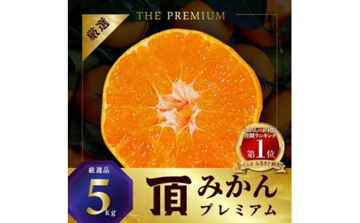 三代目の頂みかんTHEプレミアム<小玉サイズ>5kg<C31-19>【1088576】
