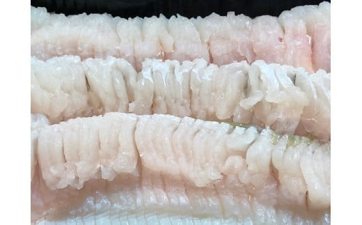 竹中水産の八幡浜発!「骨切り鱧・600g以上」<D22-206>【1052348】