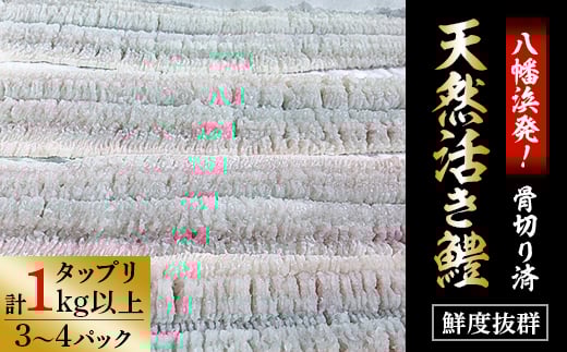 竹中水産の八幡浜発!「骨切り鱧・1kg以上」<F22-207>【1052349】