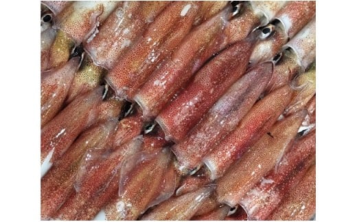 ＜冷凍便＞八幡浜発!「白イカ(剣先イカ)」ドカーンと2kg!＜F22-210＞_ いか イカ 剣先イカ 剣先いか 剣先 白イカ 白いか 烏賊 魚介 魚介類 海鮮 鮮魚 冷凍 BBQ 簡単調理 愛媛 八幡浜 刺身 新鮮 【1043151】