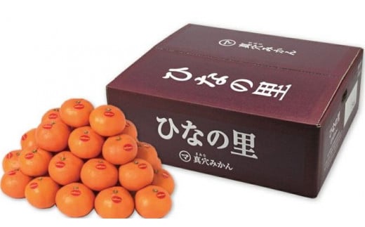 真穴みかん <ひなの里> 5kg<F43-1>_ みかん 蜜柑 ミカン 愛媛みかん 愛媛 真穴 国産 箱 送料無料 農家直送 産地直送 柑橘 かんきつ 温州みかん 旬 フルーツ 果物 くだもの【1490392】