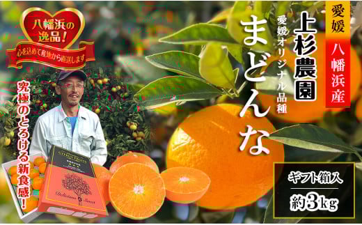 ギフト対応化粧箱入・上杉農園のぷるぷる新食感!「マドンナ」約3kg<D39-16>_みかん ミカン マドンナ 紅まどんな同品種 柑橘 柑橘類 フルーツ 果物 くだもの 人気 美味しい 愛媛県 八幡浜 ふるさと【1251804】